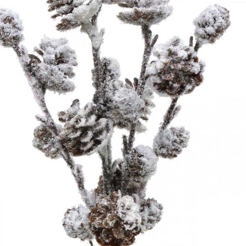 daiktų Kalėdinės šakelės kūgio šakelė apsnigta 30cm 5 vnt