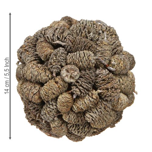 daiktų Kūgio rutulys alksnio kankorėžiams kabinti, baltai dažytas, 12 cm