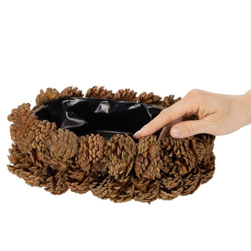 Ovalus pušies kankorėžio vazonas, 30 cm | Floristik24.lt