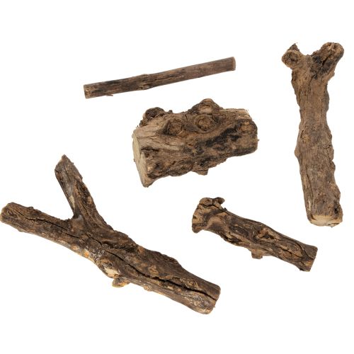 daiktų Žavios dekoratyvinės medinės šaknys jūsų namams