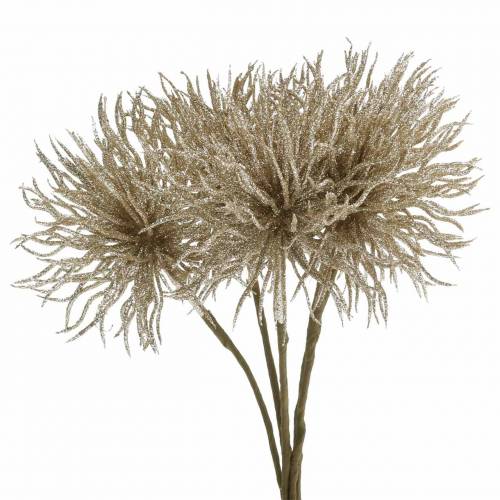 Floristik24 Dirbtinis Clematis šakos šampanas su blizgučiais 32cm 5vnt