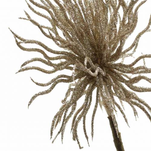 Floristik24 Dirbtinis Clematis šakos šampanas su blizgučiais 32cm 5vnt