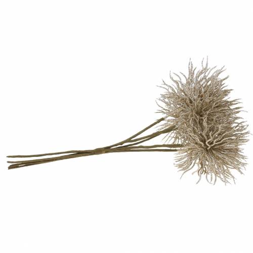 Floristik24 Dirbtinis Clematis šakos šampanas su blizgučiais 32cm 5vnt