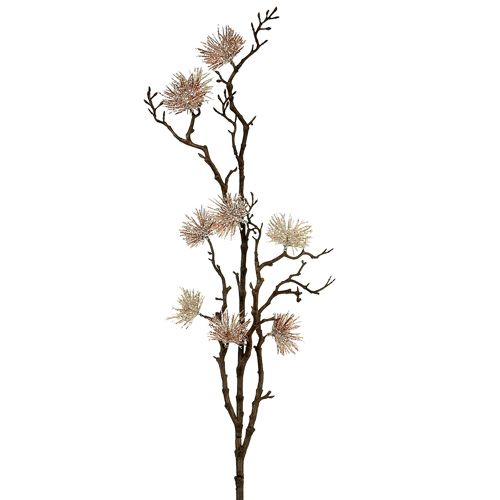 Hamamelio šakelės šampanas 112cm