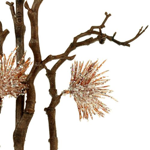 Floristik24 Hamamelio šakelės šampanas 112cm