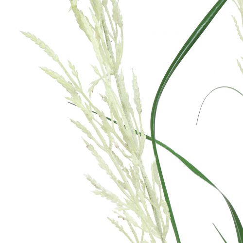 daiktų Dekoratyvinė žolė Pampų žolė su lapeliais žalia / kreminė H107cm