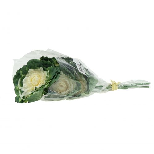 Floristik24 Dirbtinis kopūstas baltas, žalias 25cm 6vnt