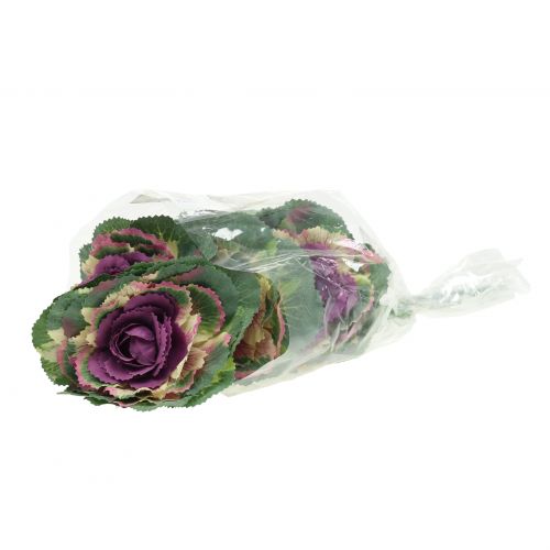 Floristik24 Dirbtinis kopūstas violetinis, žalias 25cm 6vnt