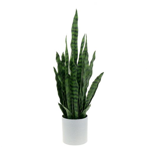 Floristik24 Sansevieria dirbtinis vazonėlyje H62cm