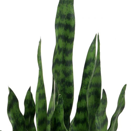 Floristik24 Dirbtinė Sansevieria vazonėlyje H90cm