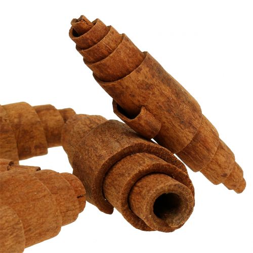 Floristik24 Cinamoninio raguolio puošmena 6,5cm - 7cm 30 vnt