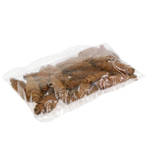 Floristik24 Cinamoninio raguolio puošmena 6,5cm - 7cm 30 vnt