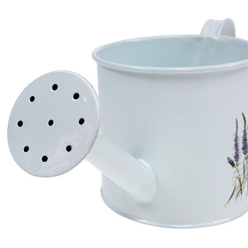 Floristik24 Cinko laistytuvas Ø10,5cm H10cm su levandomis
