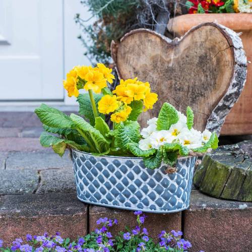 Floristik24 Cinko dubenėlio deimantas su lynų rankenomis ovalios 32cm H15cm