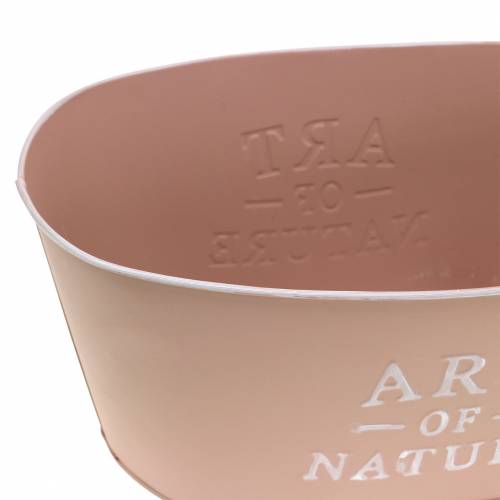 daiktų Gėlių dubuo ovalus cinkuotas senas rožinis sodinukas 27×18cm H12,5cm