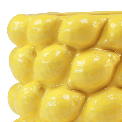 Floristik24 Citrininė vaza keraminė sodinė citrinos geltona Ø17cm H15cm
