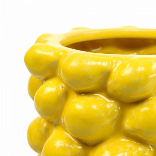Floristik24 Citrininė vaza vaza citrinos geltona vasaros dekoracija Ø15cm H30cm