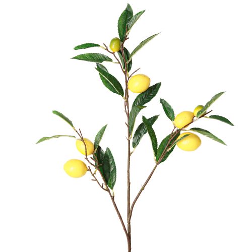 daiktų Dirbtinė citrinos šakelė dirbtinė citrinos šakelė 91cm 2vnt