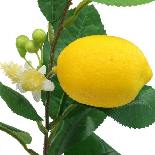 Floristik24 Deco šakelė citrina dirbtinė citrinos šakelė 42cm 3vnt