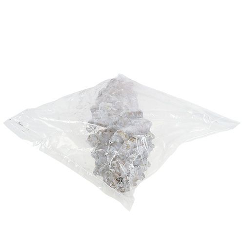 Floristik24 Cukriniai kankorėžiai, baltinti 20cm - 30cm