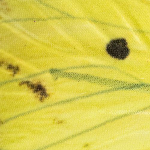 daiktų Drugelio šakelė, meniška pavasarinė dekoracija patalpoms, 75 cm