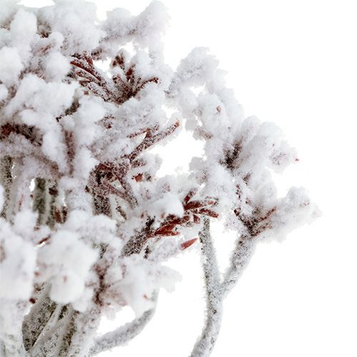 Floristik24 Šaka su sniegu 22cm 3vnt