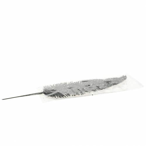 Floristik24 Dekoratyvinis papartis blizgantis juodai 3vnt