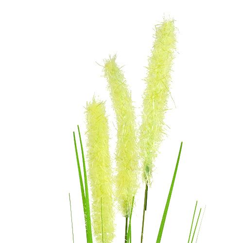 Floristik24 Svogūnų žolė 68cm žalia 6vnt