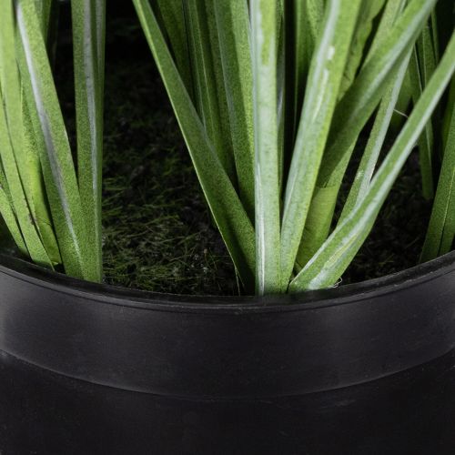 daiktų Dekoratyvinė žaluma su subtiliais žiedais stilingam kambario dizainui 67 cm