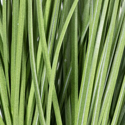 daiktų Dekoratyvinė žaluma su subtiliais žiedais stilingam kambario dizainui 67 cm