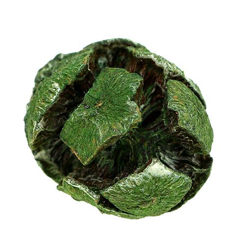 Floristik24 Kiparisų spurgai 3cm žali 500g