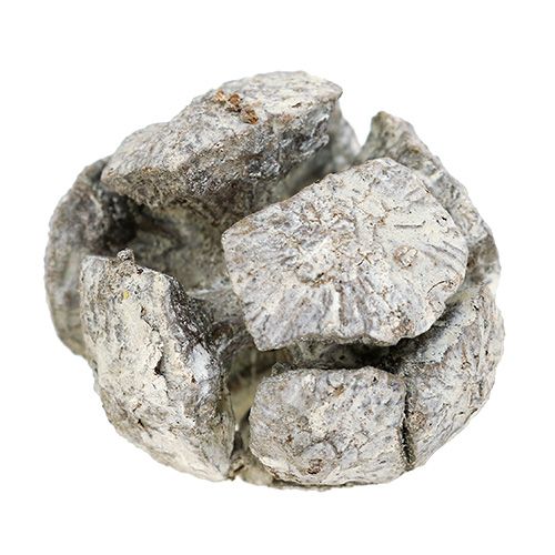daiktų Kiparisų spurgai 3cm balti skalbti 500g