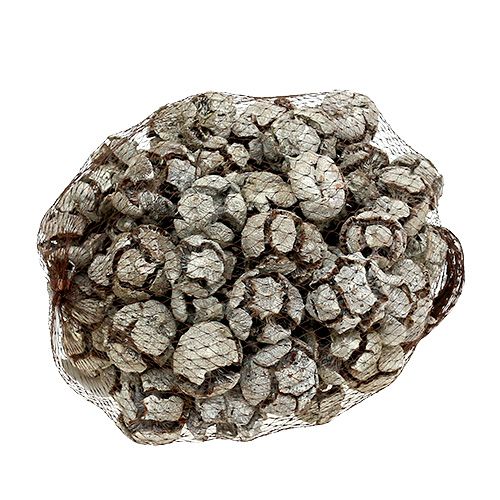 daiktų Kiparisų spurgai 3cm balti skalbti 500g
