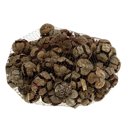 daiktų Kiparisų spurgai natūralūs 3cm 500g
