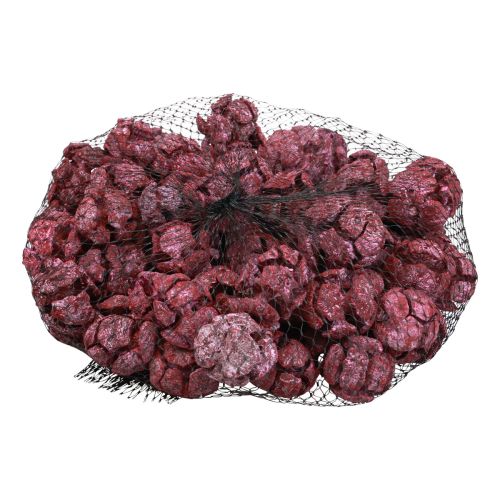 daiktų Kipariso kūgiai matiniai natūraliai dekoruoti 3cm tamsiai raudoni 500g