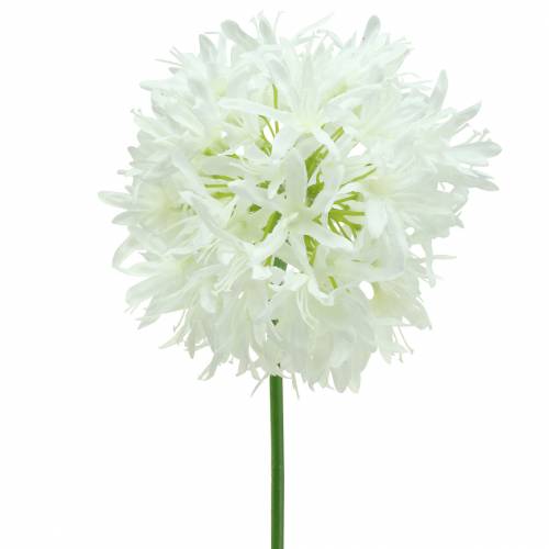 Floristik24 Dekoratyvinis svogūnas Allium dirbtinis baltas Ø12cm H62cm