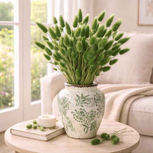 daiktų Džiovintos kiškio žolės (Lagurus) 65-70 cm 100 g