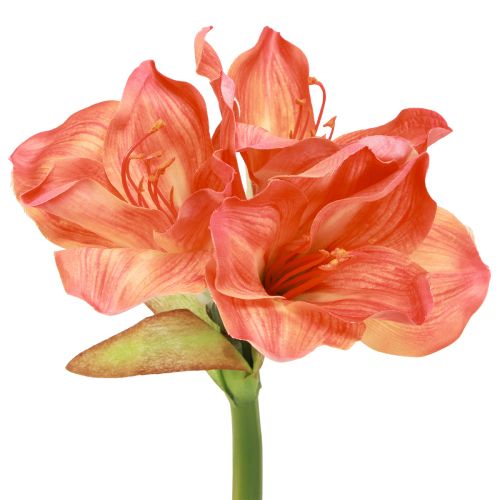 daiktų Amarilio dekoratyvinės gėlės oranžinės spalvos dirbtinės L55cm 2vnt
