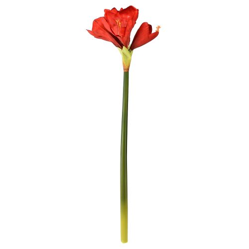 daiktų Dirbtinis amarilis ryškiai raudonos spalvos - elegantiškos gėlės, skirtos prabangiam kambario dekoravimui, 66 cm
