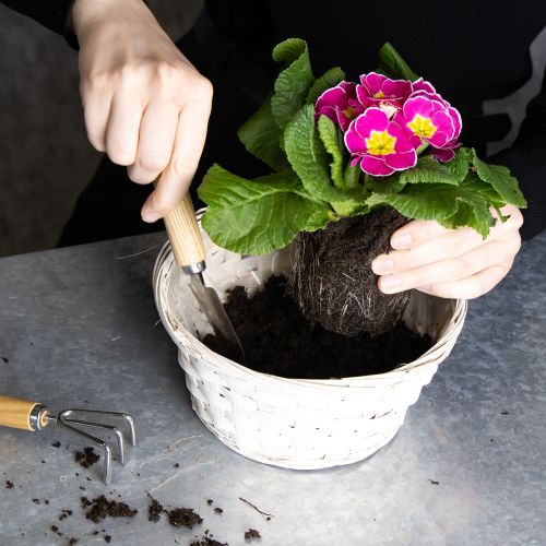 daiktų Pinti krepšeliai universaliam interjero dizainui, 20 cm, 8 vnt.