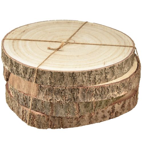 Floristik24 Medžio diskas Paulownia medžio apdaila natūralus Ø17-21cm 4 vnt