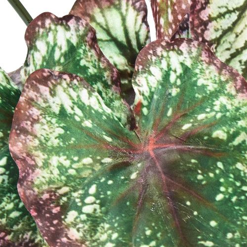 daiktų Begonija Dirbtiniai augalai Lapas Begonijos Žalia Violetinė 62cm