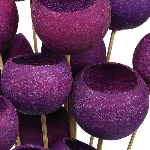 Floristik24 Varpelio puodelis Mišinys ant pagaliuko Erika 15 vnt