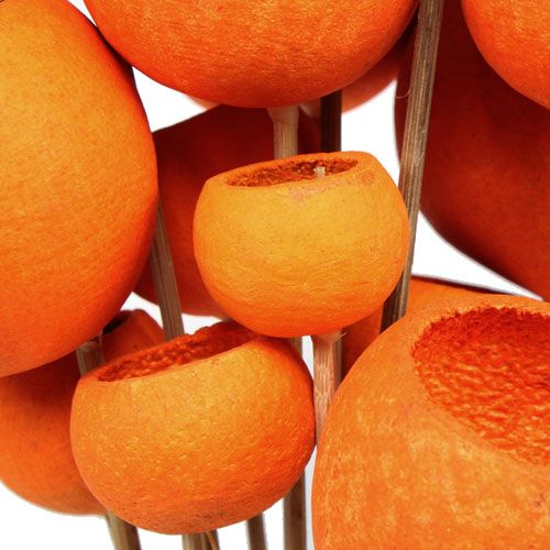 Floristik24 Bell Cup Mix ant pagaliuko oranžinė 15 vnt