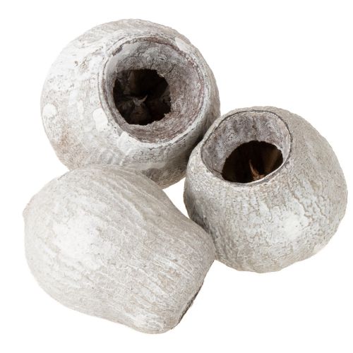 Bellgums baltai dažyti 2cm - 5cm 500g