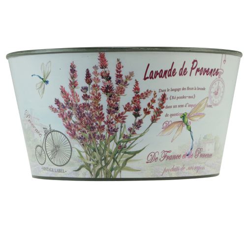 daiktų Sodinamosios levandų plastikinis gėlių dubuo apvalus Ø21cm H11cm