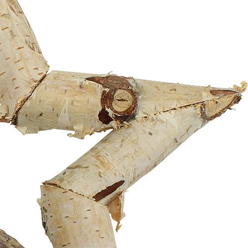 Floristik24 Beržinė žvaigždė pakabinama 22cm