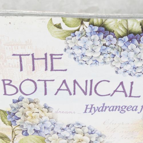 daiktų Ovalus metalinis gėlių vazonas su rankenomis, hortenzijoms, 32 × 15 × 15 cm