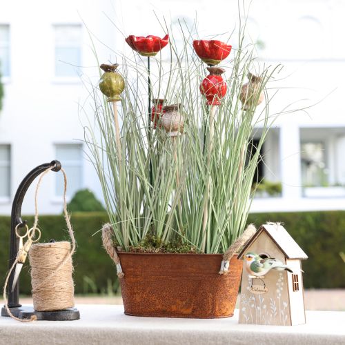 daiktų Gėlių kamštis medžio keraminė aguonų dekoracija 3 spalvos 35cm 6 vnt