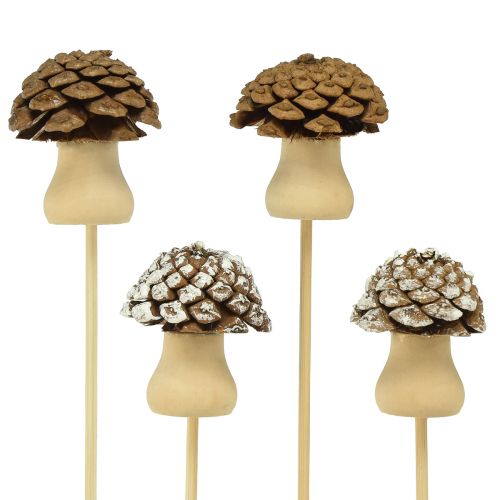 Floristik24 Gėlių kamščio kūgio grybo dekoratyvinis kamštukas Adventas 4,5cm 12 vnt